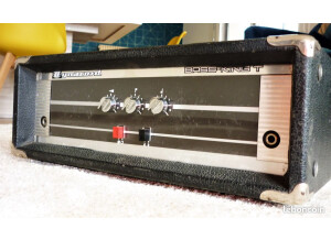 Dynacord Bass king T (929)