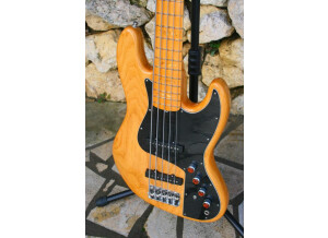 Fender Artist Series - Marcus Miller Jazz Bass V ANM