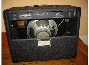 Peavey Studio Pro 110 (19545)