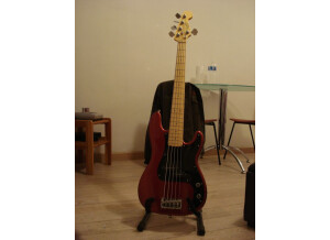 Fender [American Standard Series] Precision Bass V - Candy Cola Maple