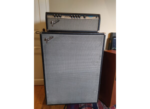 Fender Bassman 100 (Silverface) (99732)
