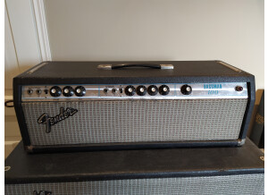 Fender Bassman 100 (Silverface) (86558)