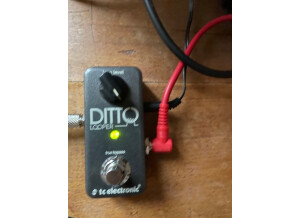 TC Electronic Ditto Looper (23697)