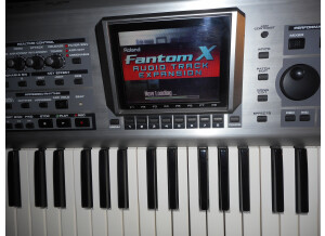 Roland Fantom X7 (479)