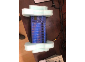 Dave Smith Instruments Evolver (38030)