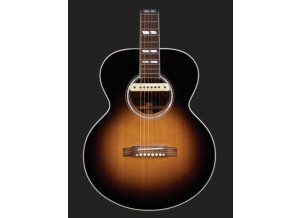 L.R. Baggs M1 (65542)