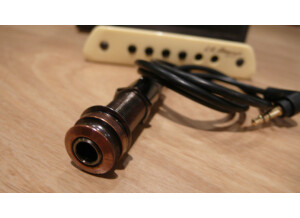 L.R. Baggs M1 (32526)