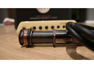 L.R. Baggs M1 (82568)