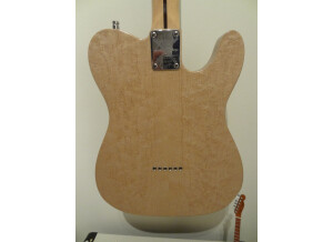 Luthier TELECASTER CUSTOM SHOP (luthier) (89337)
