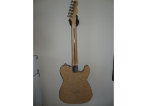 Luthier TELECASTER CUSTOM SHOP (luthier) (36827)