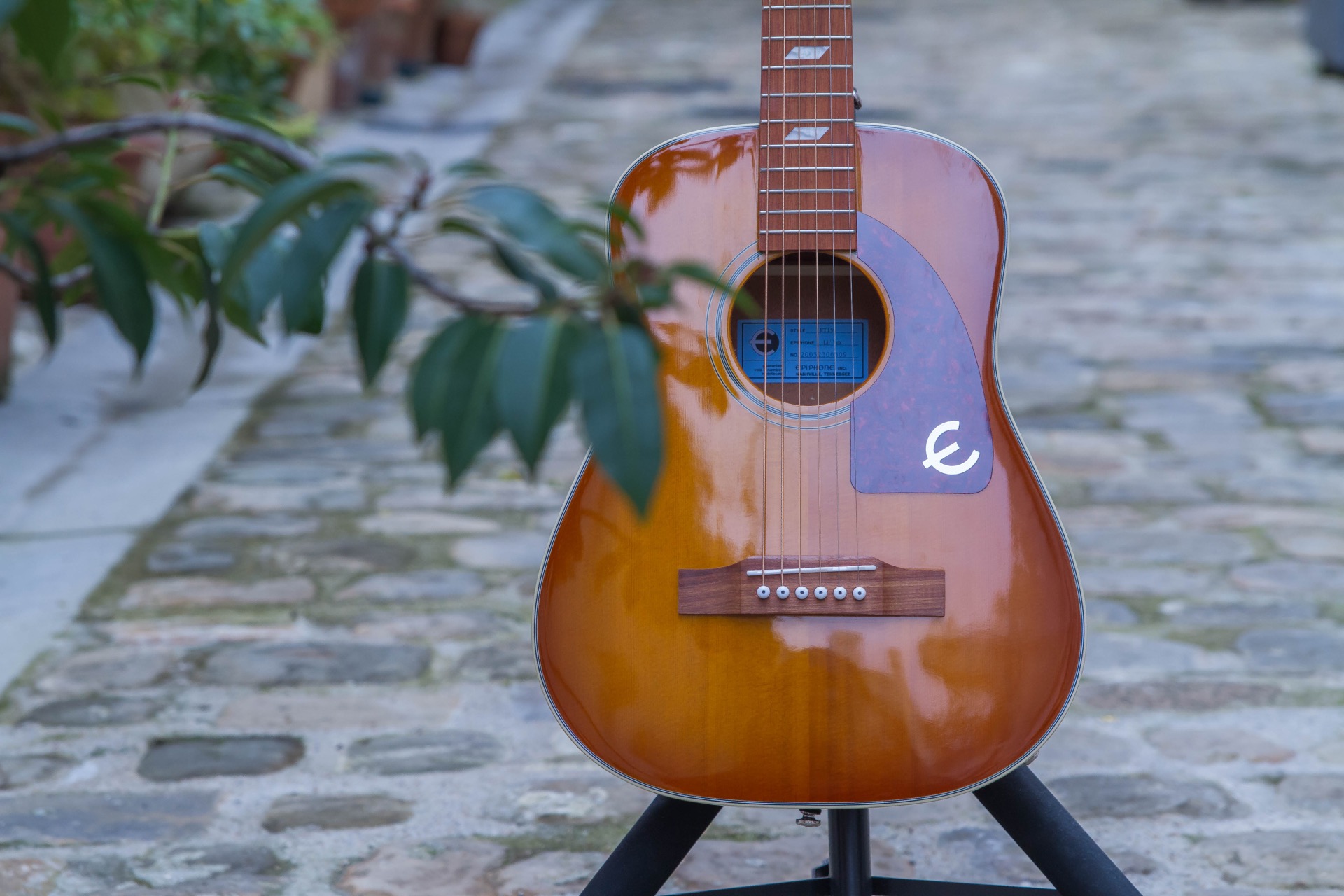 Epiphone Lil' Tex : Lil'Tex-13