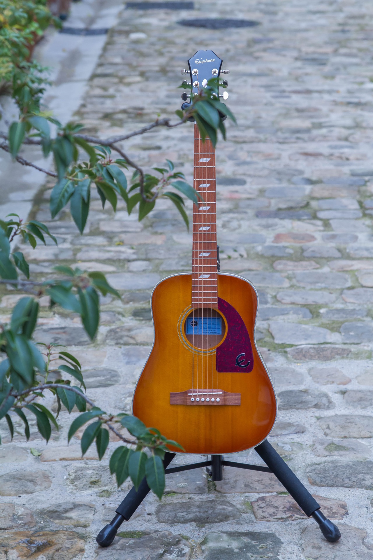 Epiphone Lil' Tex : Lil'Tex-14