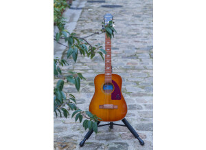 Epiphone Lil' Tex Travel Acoustic