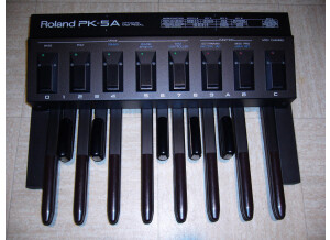 Roland PK-5A (26712)