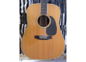 Martin & Co D-35 (63699)