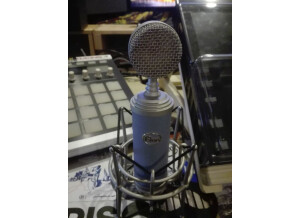 Blue Microphones Bluebird (48242)