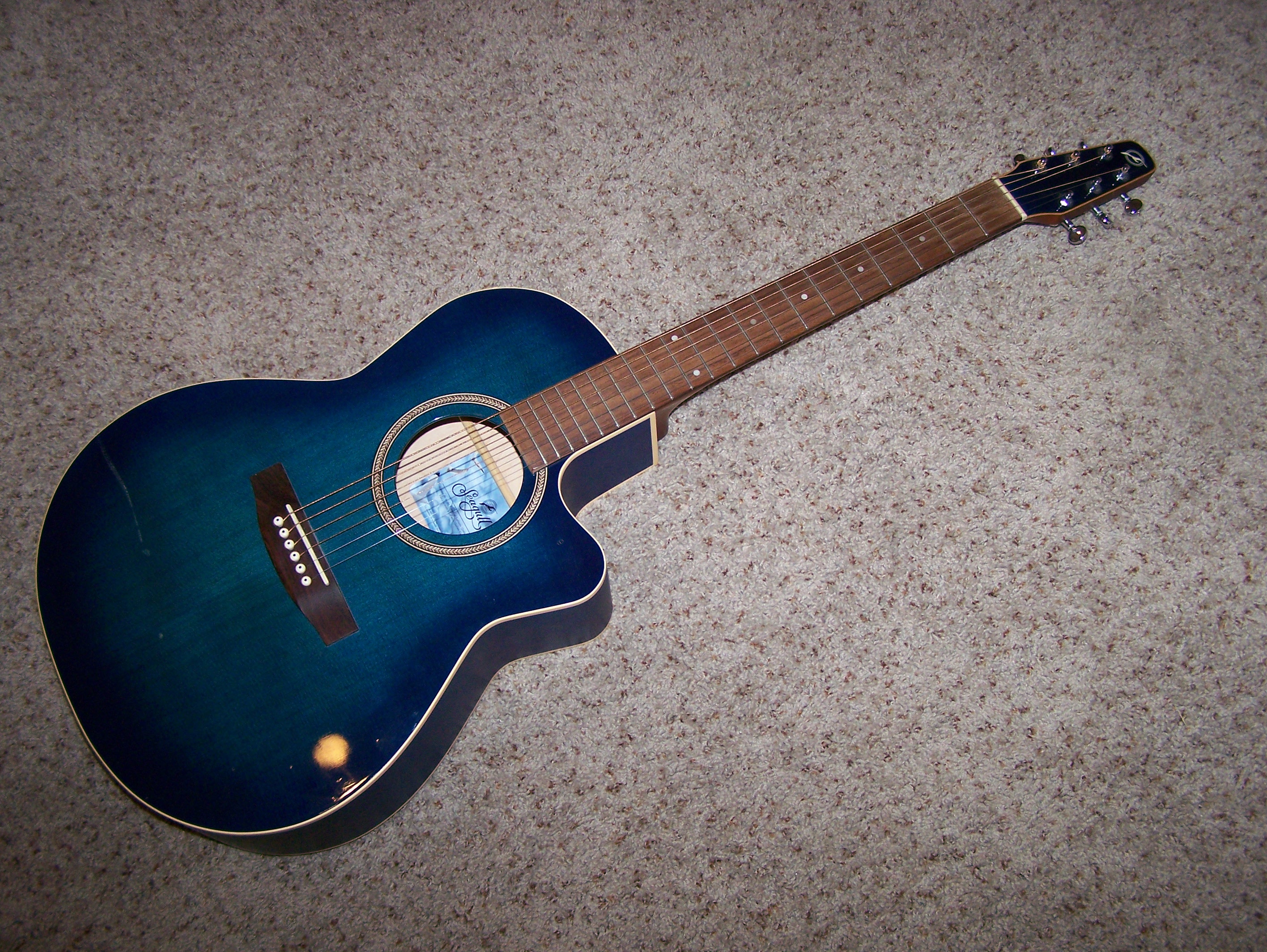 blue seagull guitar