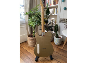 Fender Classic Player Cabronita Telecaster Thinline