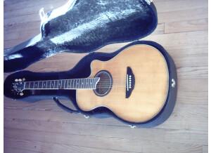 Yamaha [APX Series] APX10A