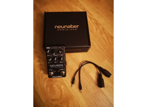 neunaber-neuron-3289287