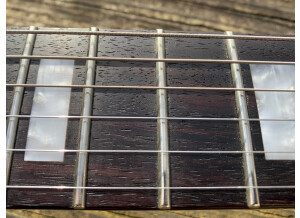 Diamond Guitars Maverick SM (97335)