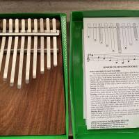 Hugh Tracey Kalimba Junior Celeste Pentatonic with pickup