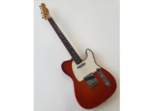 Fender Telecaster (1972) (35971)