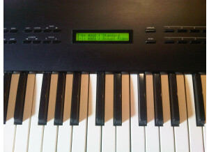 Roland U-20 (39205)