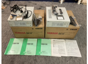 Yamaha CBX-D5