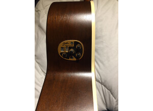 Art & Lutherie Legacy Q1T (50829)