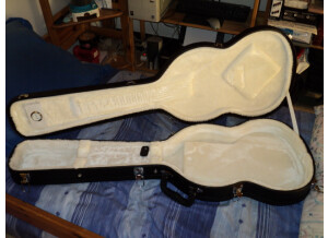 SR Guitars SRSG Origin Ebony