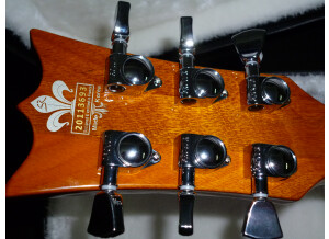 SR Guitars SRLP Origin Lemon Light Burst Flammé