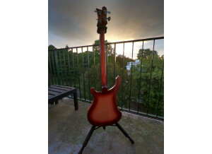 Rickenbacker 4003 (71429)