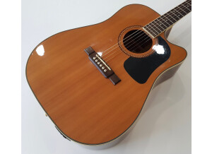 Washburn D10SCE (19315)