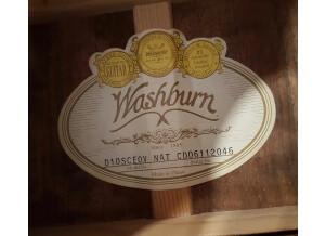 Washburn D10SCE (60236)
