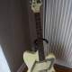 Modena Electric Sitar Modena Electric Sitar