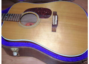 Gibson Gospel AV (60545)