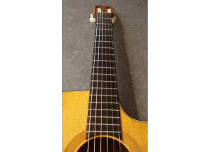 Taylor NS42CE (37817)