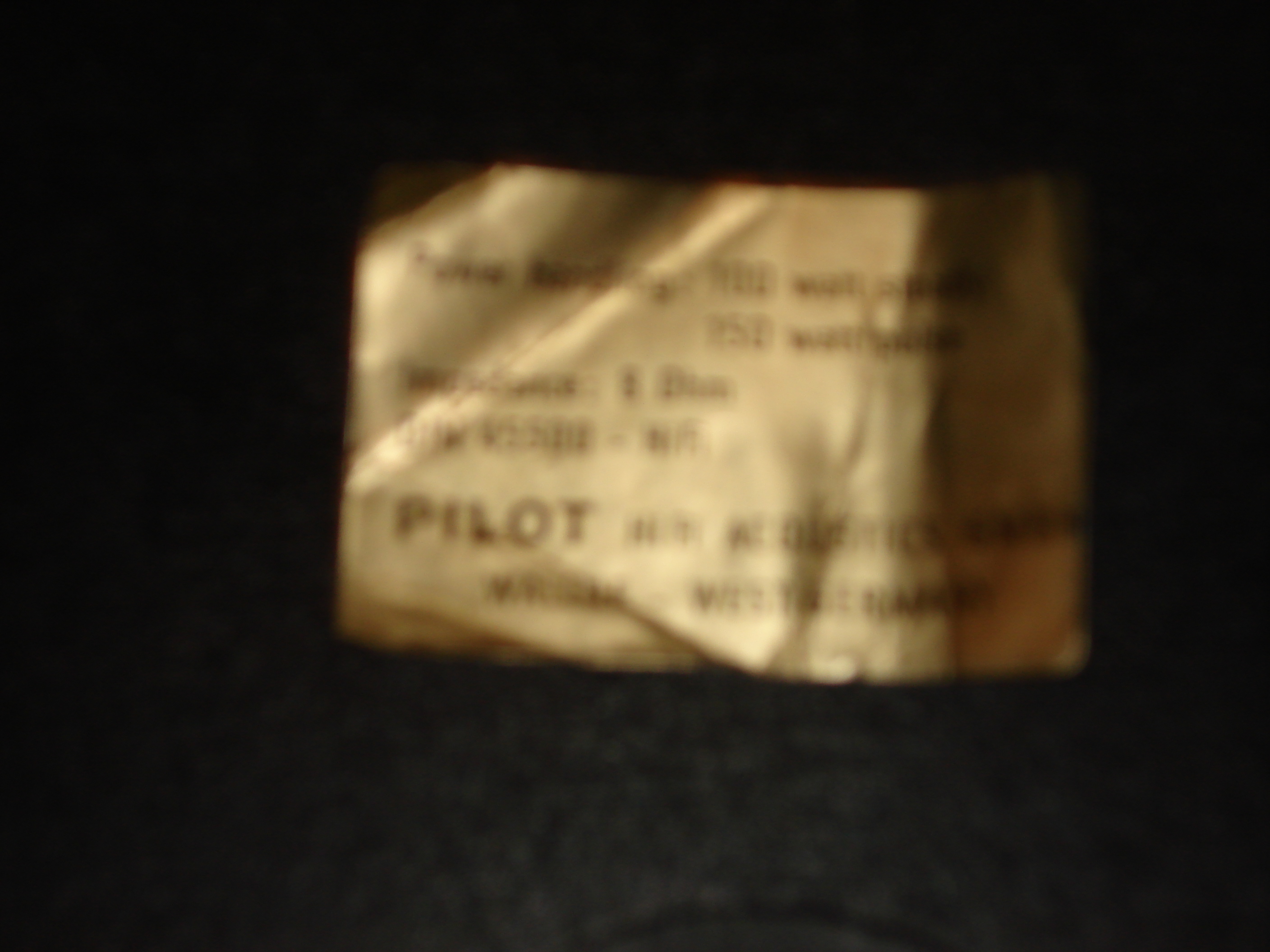 ENCEITEPILOT (7).JPG