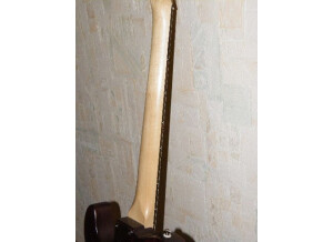 G&L Asat Classic Walnut Serie Tribute