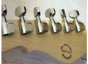 G&L Asat Classic Walnut Serie Tribute