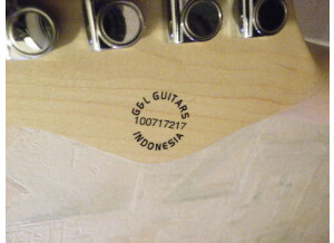 G&L Asat Classic Walnut Serie Tribute