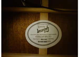 Gibson Hummingbird (65192)