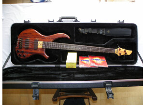 Noguera Expression 4 Cordes