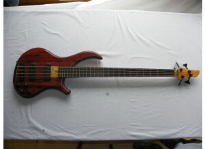 Noguera Expression 4 Cordes