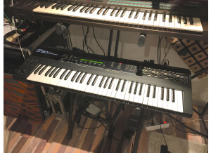 Roland D-50 (7217)