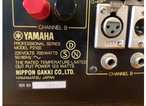 Yamaha P2100