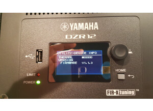 Yamaha DZR12 (99857)