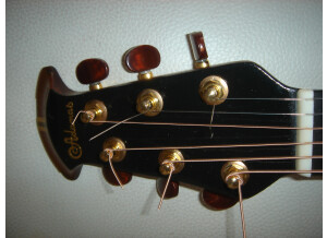 Adamas Guitars CVT