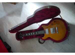 Gibson Les Paul Standard Double Cut Plus (36163)